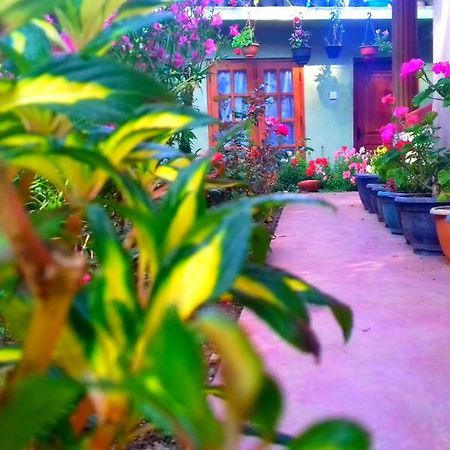 Moon Plain Inn Nuwara Eliya Zewnętrze zdjęcie