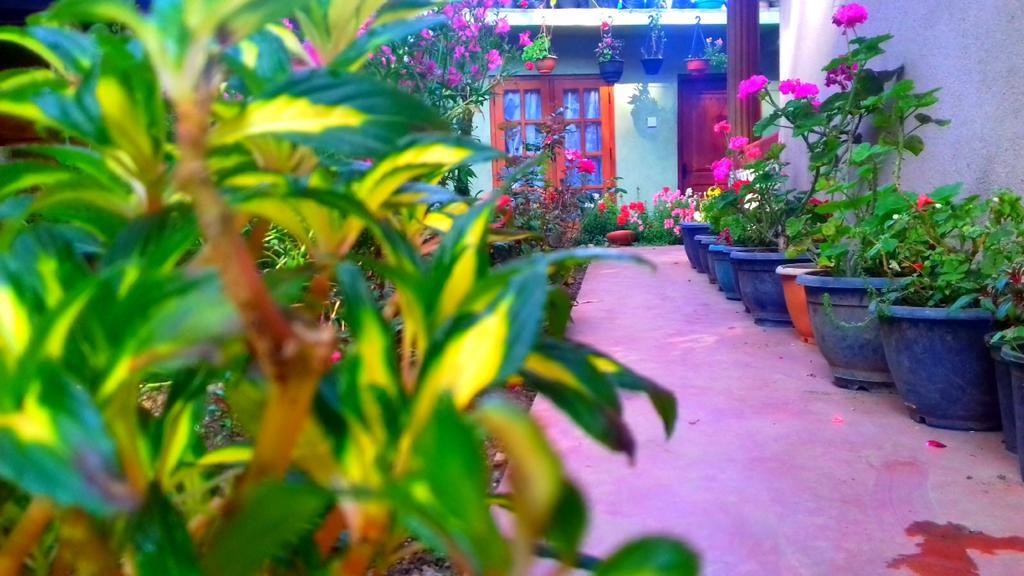 Moon Plain Inn Nuwara Eliya Zewnętrze zdjęcie
