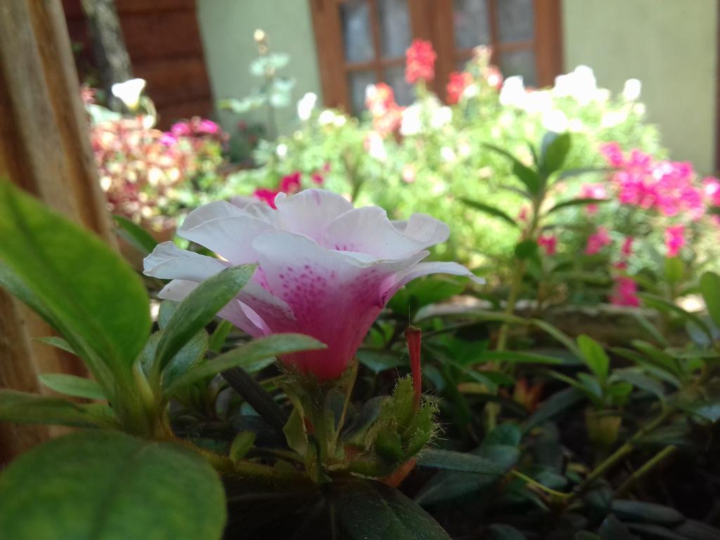 Moon Plain Inn Nuwara Eliya Zewnętrze zdjęcie
